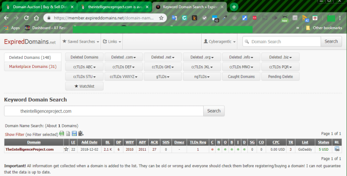 Expired Domains Example List