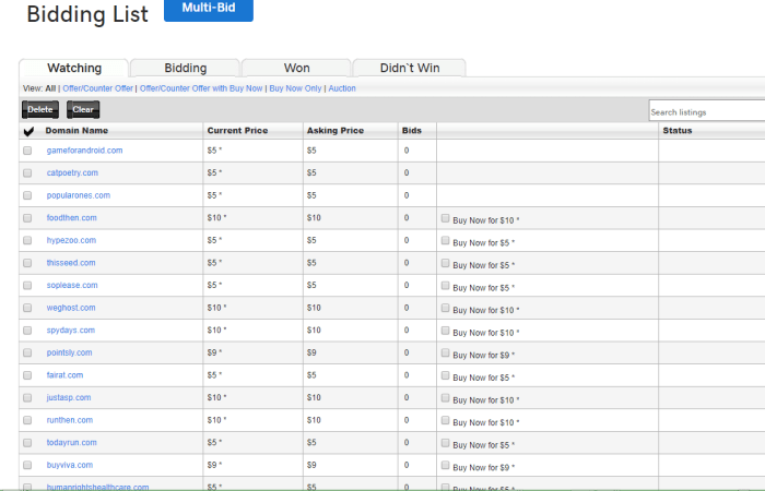 Godaddy Domain Example Watch List