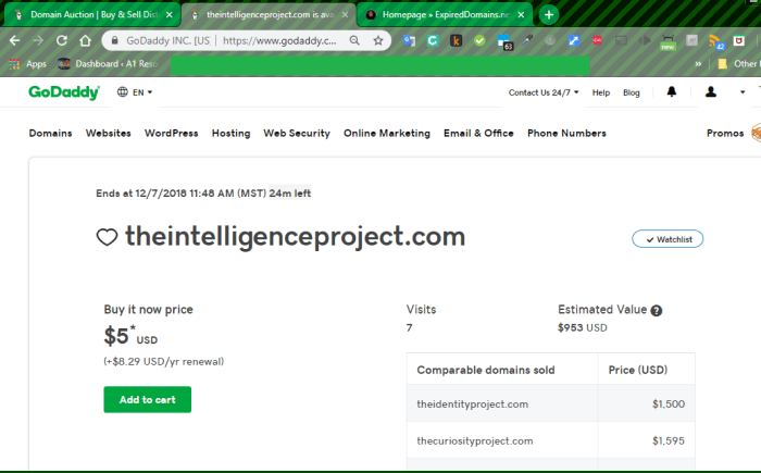 Godaddy Domain Example Watch Tabs